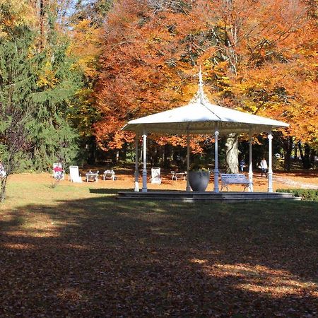 Ferienwohnungen Am Park Bad Steben Buitenkant foto