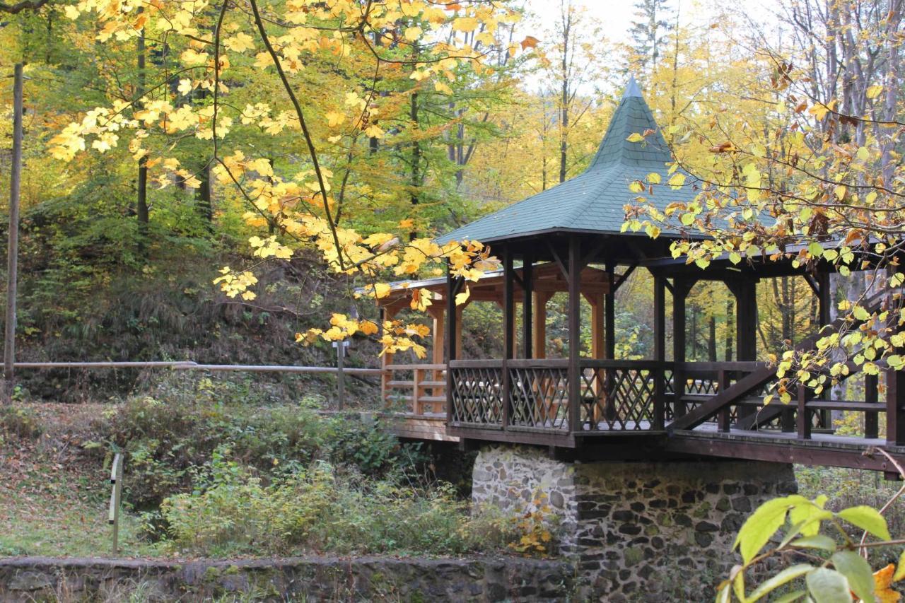Ferienwohnungen Am Park Bad Steben Buitenkant foto